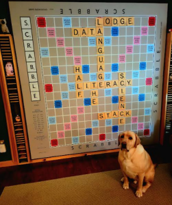 A Scrabble board with words relating to the Half Stack Data Science podcast.